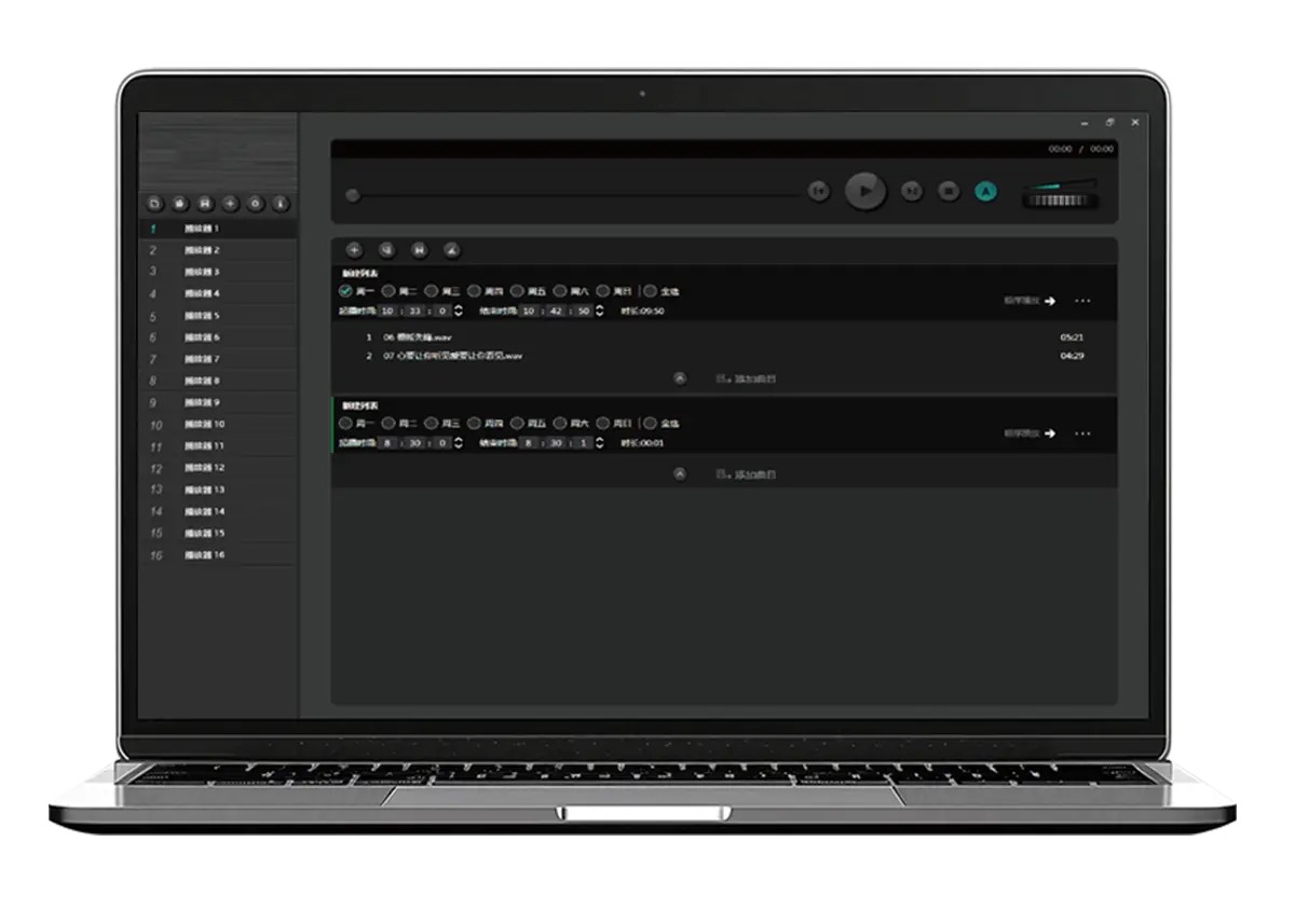 Audio Player Software