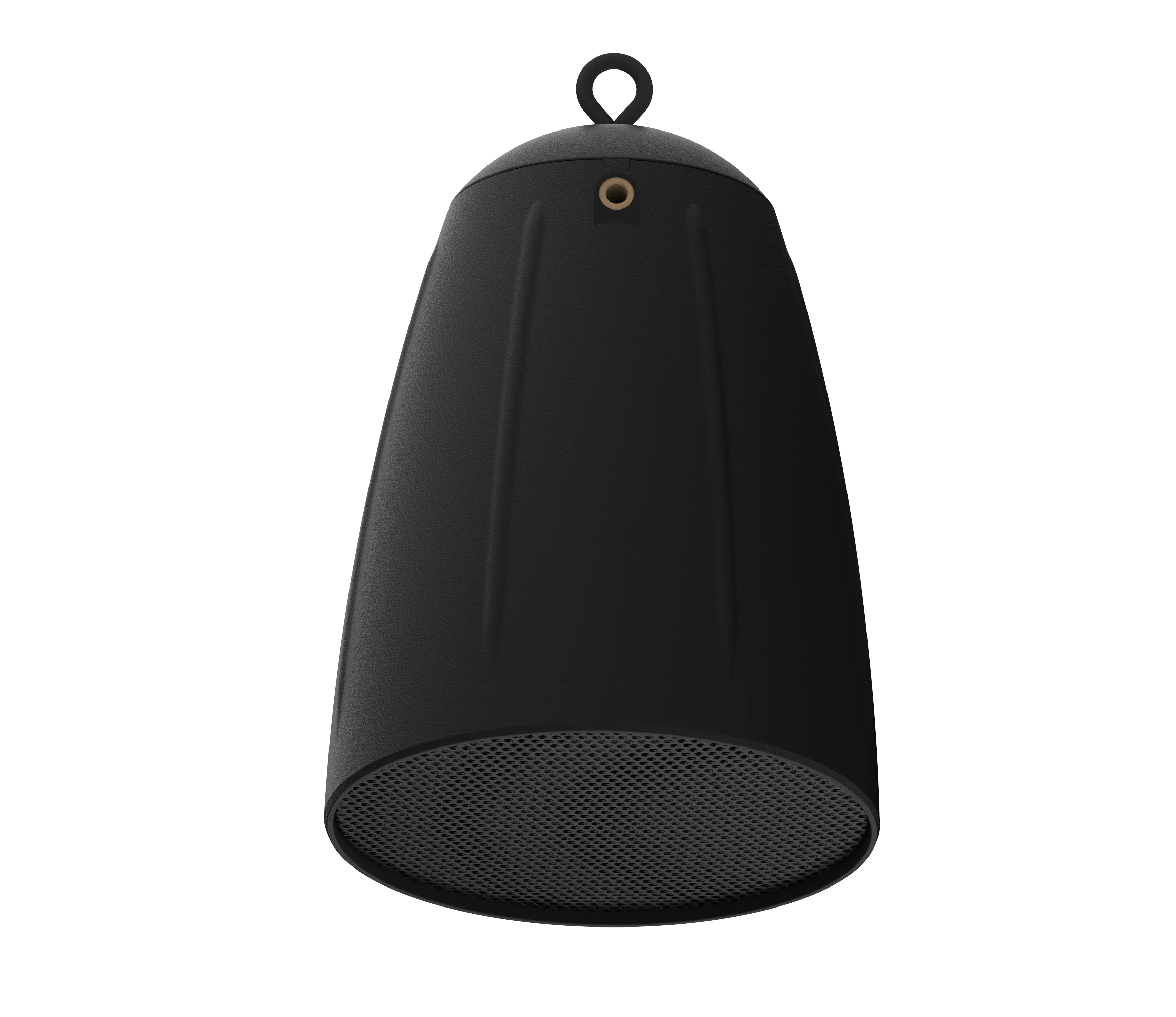 PoE Speaker